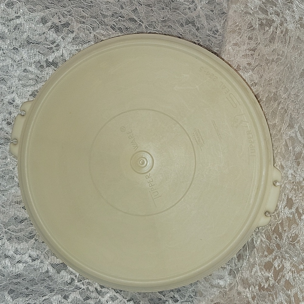 Tupperware: 2 Pieces, Vegetable Carrier, Divided Tray With Lid